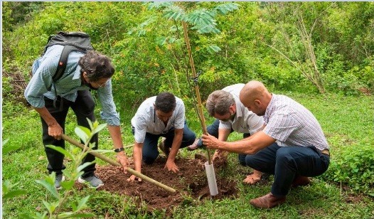 En este momento estás viendo Los “Bosques de la Poesía”