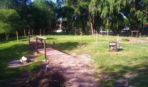 Lee más sobre el artículo ¡Los Bosques de la poesía no paran de crecer!