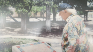 Lee más sobre el artículo El poeta Rafael Alberti y su árbol en tierra cordobesa