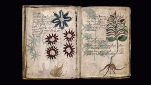Lee más sobre el artículo Los misteriosos manuscritos de Voynich: ¿El libro más enigmático del mundo?