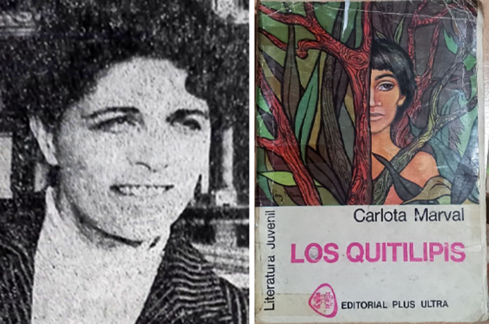 En este momento estás viendo La singular literatura de Carlota Marval