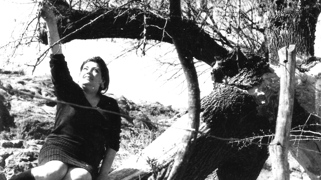 Lee más sobre el artículo Letras cordobesas: las poetas de córdoba