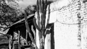 Lee más sobre el artículo Un viaje al corazón de la estancia de los Reynafé