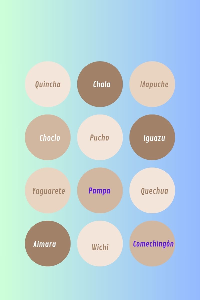 Lee más sobre el artículo ¿Qué palabras del castellano son herencia de las lenguas originarias?