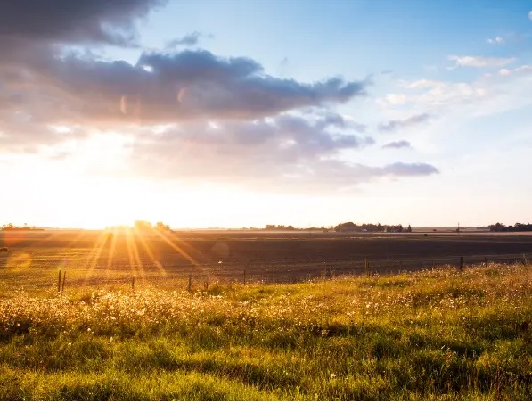 Lee más sobre el artículo El verano en la poesía: versos que capturan el calor y la belleza de la estación