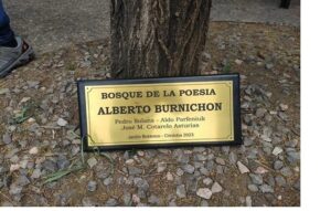 Lee más sobre el artículo Bosques de vida, bosques de poesía: reflexiones en el Día Internacional de los Bosques