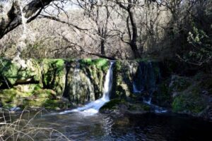 Lee más sobre el artículo Editorial: Defendamos la Reserva Natural La Calera